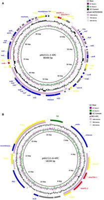 Clonal Dissemination of Aeromonas hydrophila With Binary Carriage of blaKPC-2-Bearing Plasmids in a Chinese Hospital